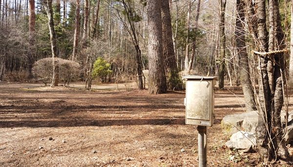 河口湖オートキャンプ場
